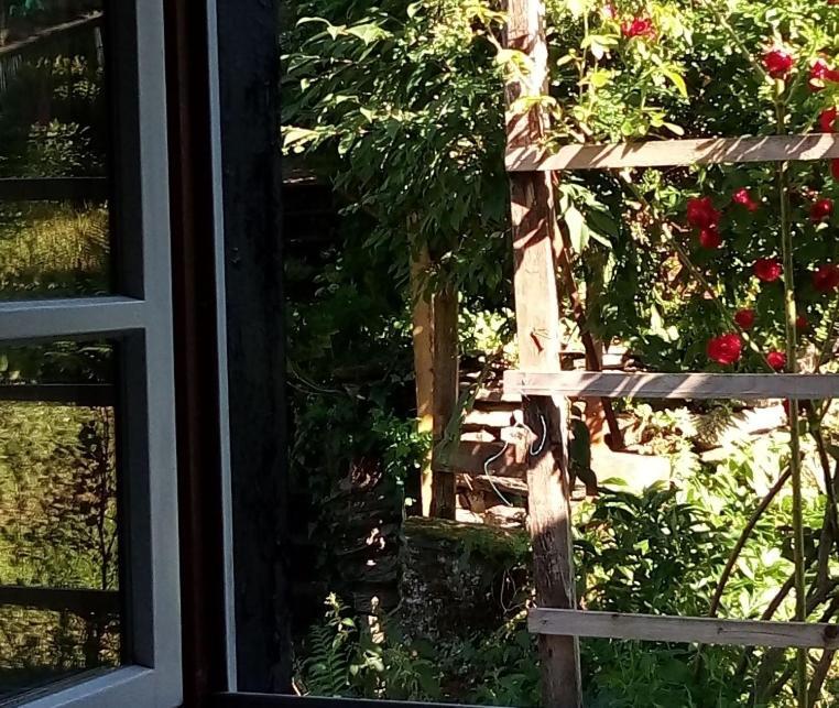 Haus Am Oberen Muehlenberg Mit Gartennutzung Monschau Bagian luar foto